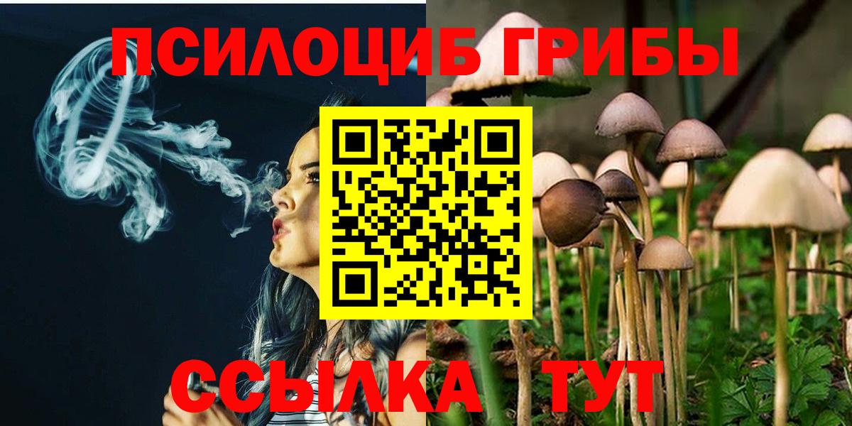 Галлюциногенные грибы Magic Shrooms Гай