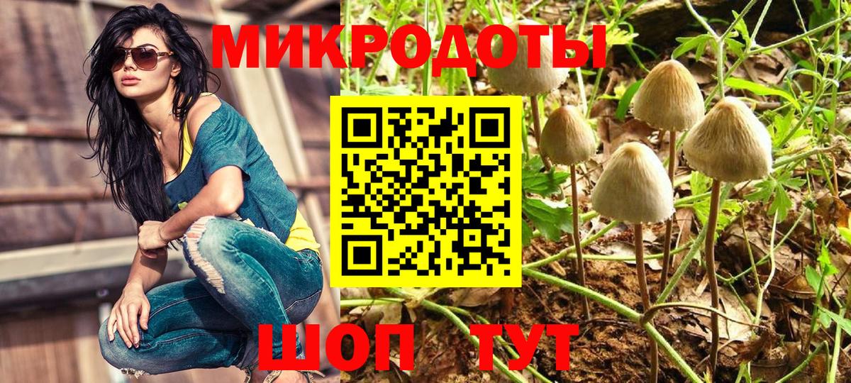 Гай  Галлюциногенные грибы Cubensis  Вход с VPN 